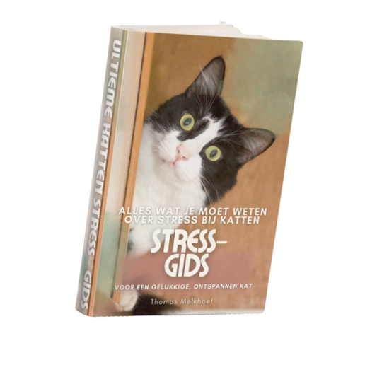 Ultieme Stressgids Voor Je Kat